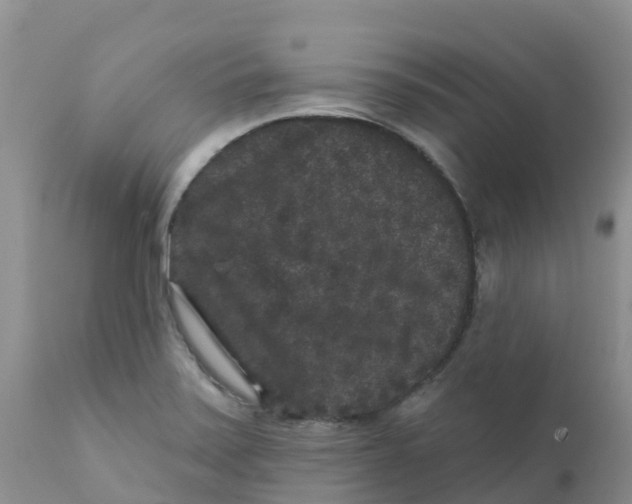 X0000111641371200908141357