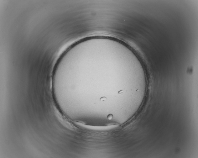 X0000111641372200908141357