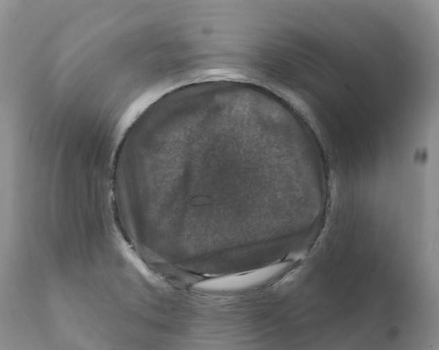 X0000111641373200908141357