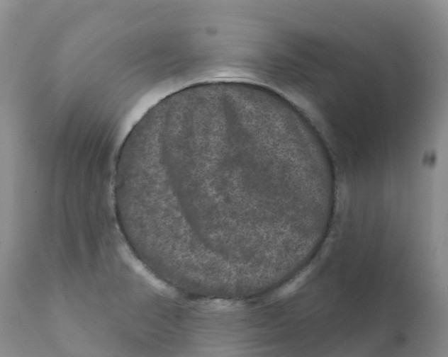 X0000111641374200908141357