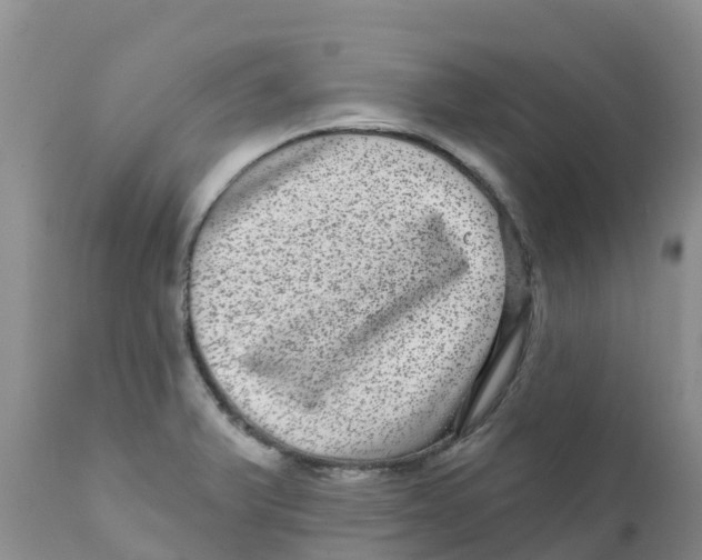 X0000111641375200908141357