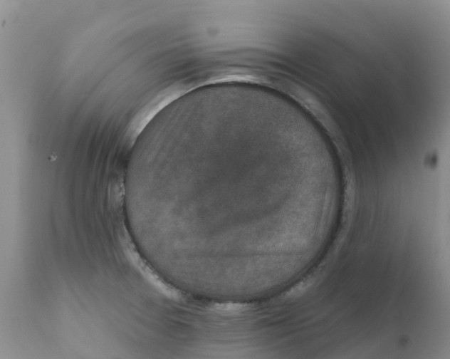 X0000111641377200908141357