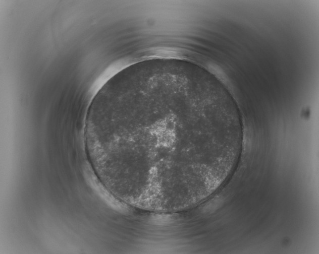 X0000111641378200908141357