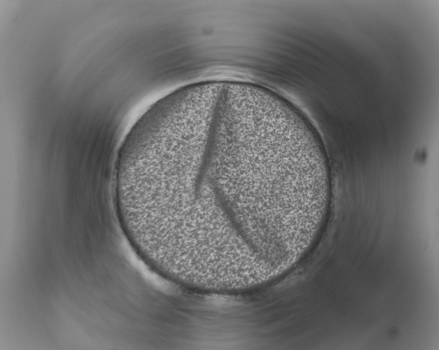 X0000111641379200908141357