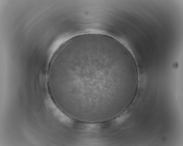 X0000111641381200908141357