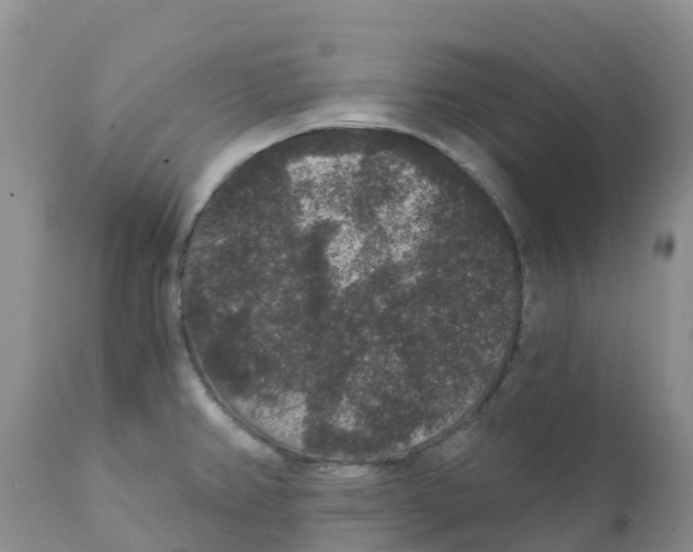 X0000111641382200908141357