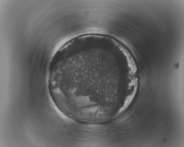 X0000111641383200908141357