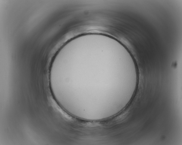 X0000111641384200908141357