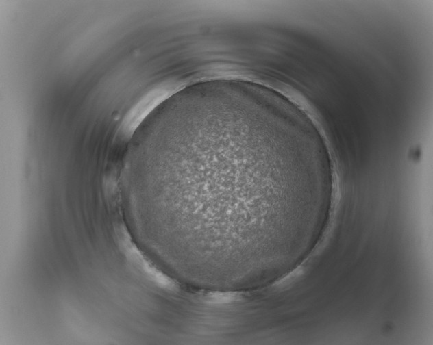 X0000111641385200908141357