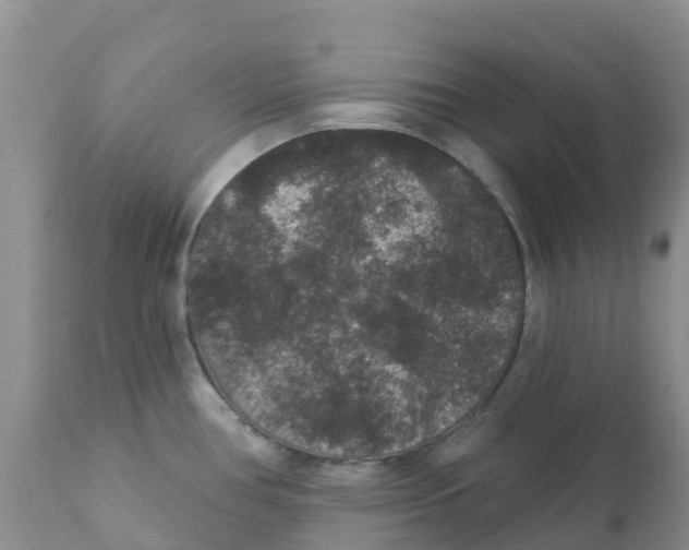 X0000111641386200908141357