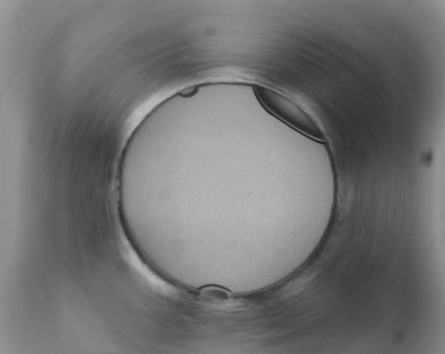 X0000111641387200908141357