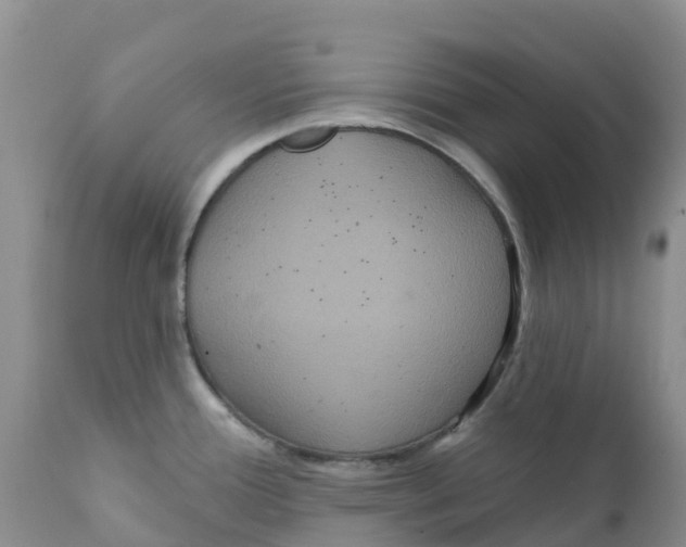 X0000111641388200908141357