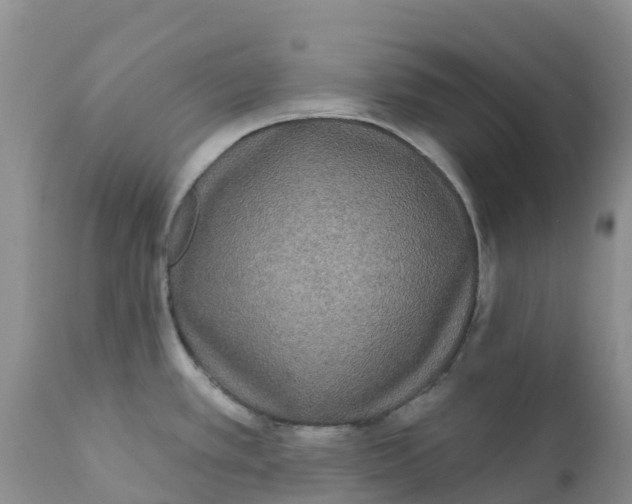 X0000111641389200908141357