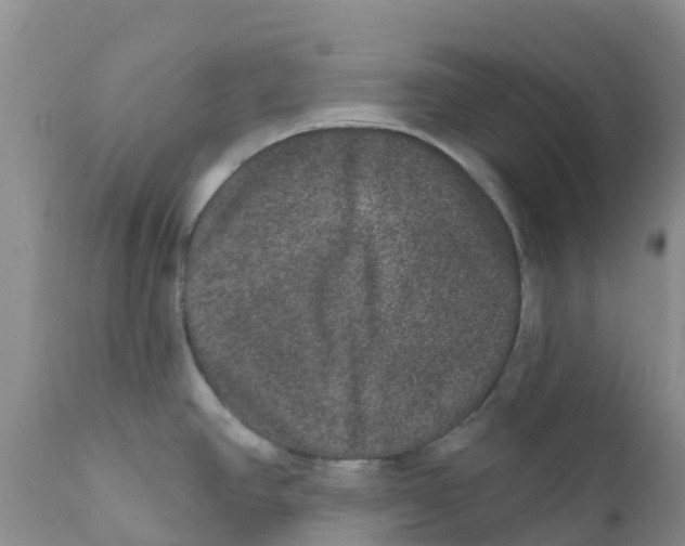 X0000111641390200908141357