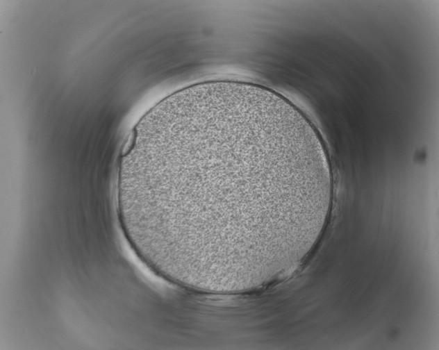 X0000111641391200908141357