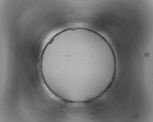 X0000111641392200908141357