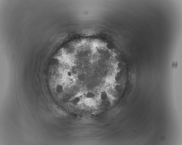 X0000111641393200908141356