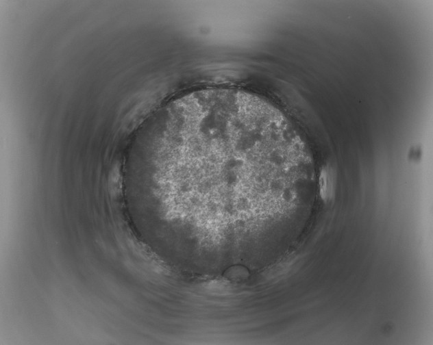X0000111641395200908141356