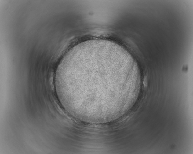 X0000111641396200908141356