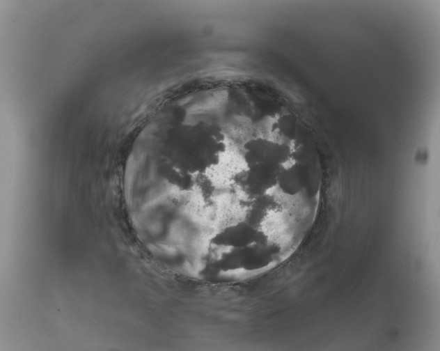 X0000111641397200908141356