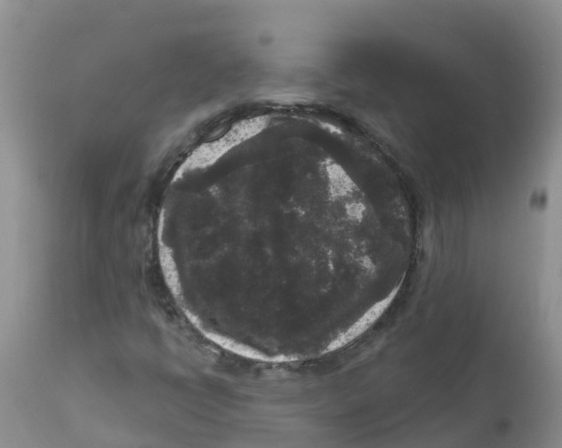 X0000111641398200908141356