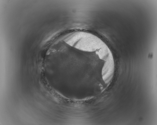 X0000111641399200908141356
