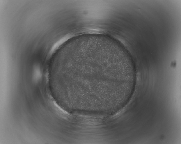 X0000111641402200908141356
