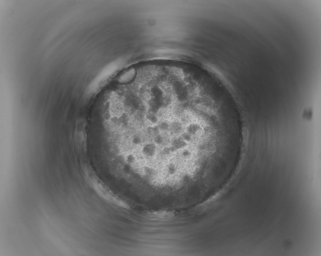 X0000111641403200908141356