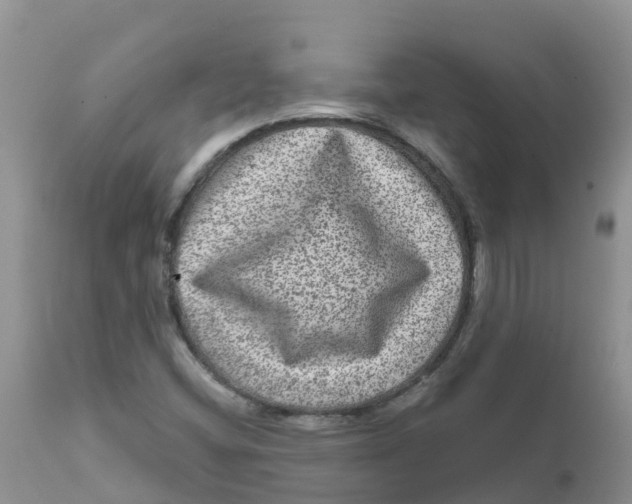 X0000111641404200908141356