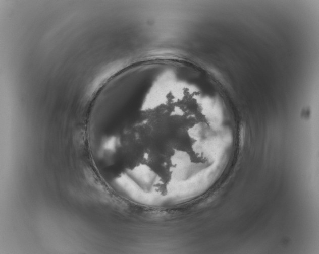 X0000111641405200908141356