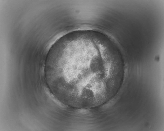 X0000111641409200908141356
