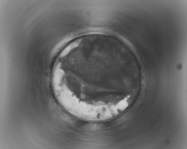 X0000111641411200908141356
