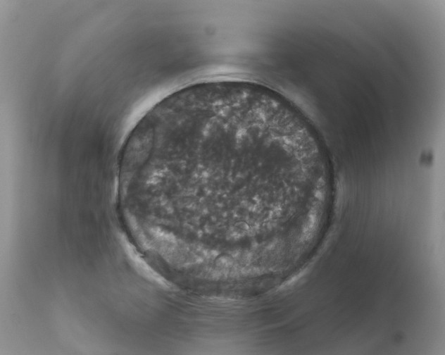 X0000111641413200908141356