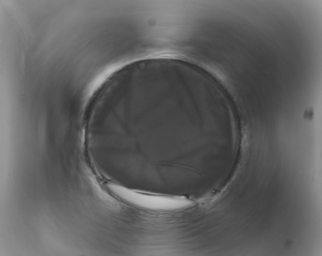 X0000111641414200908141356