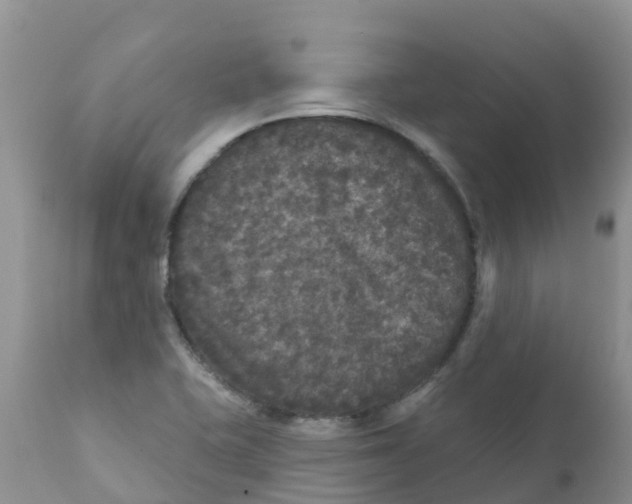 X0000111641415200908141356