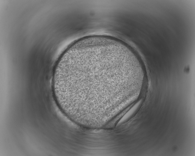 X0000111641416200908141356