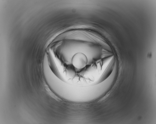 X0000111641417200908141356