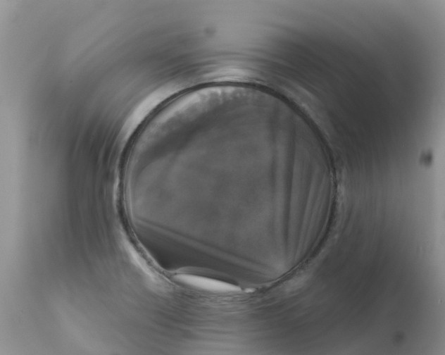 X0000111641418200908141356