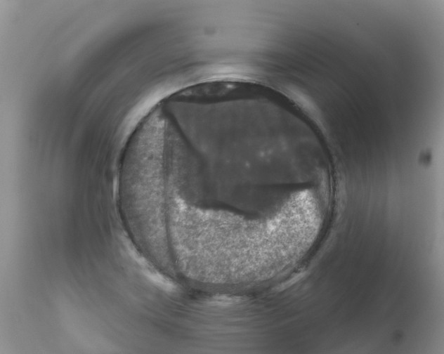 X0000111641419200908141356