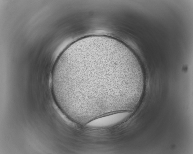 X0000111641420200908141356