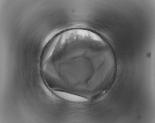 X0000111641422200908141356