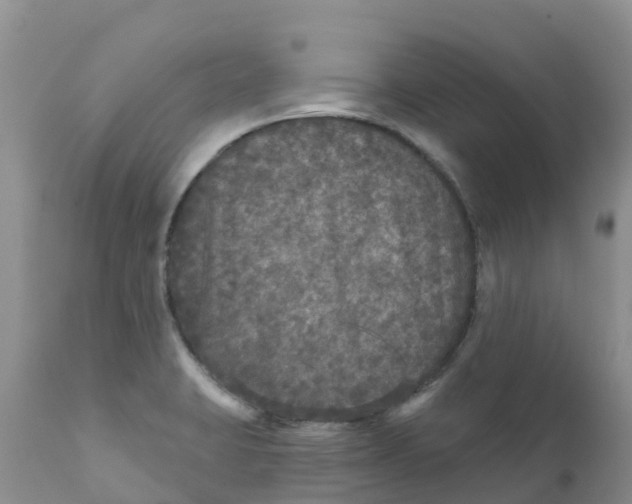 X0000111641423200908141356