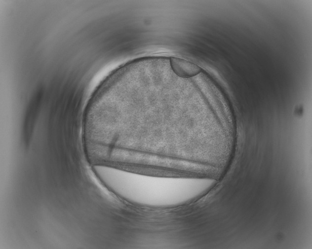 X0000111641424200908141356