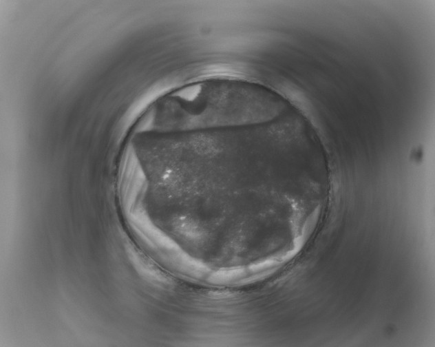 X0000111641427200908141356