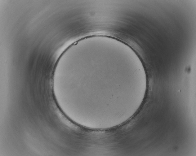 X0000111641428200908141356