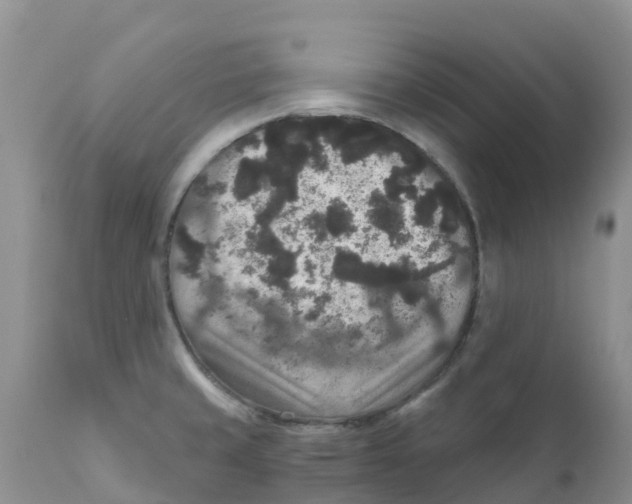 X0000111641429200908141356