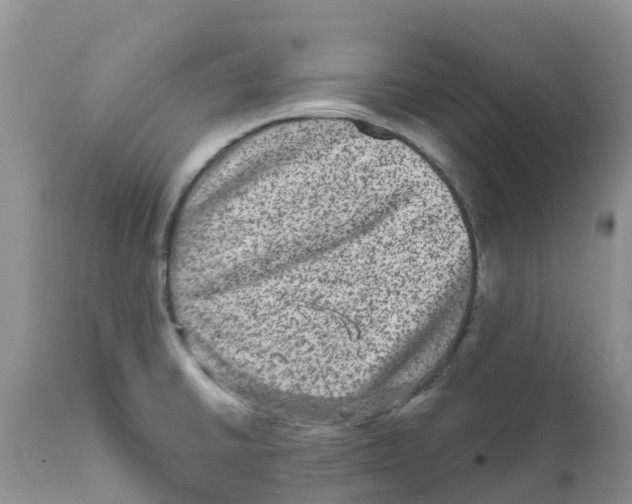 X0000111641430200908141356