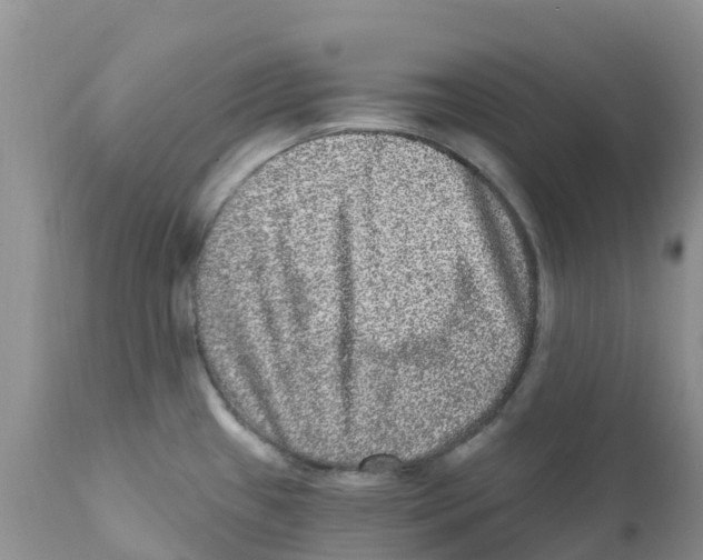 X0000111641433200908141356