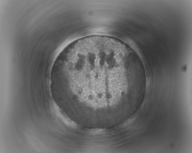X0000111641435200908141357