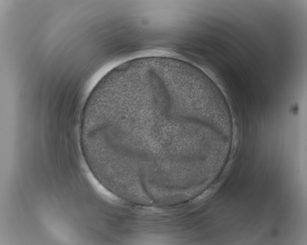 X0000111641438200908141357